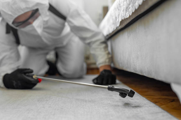 Professional Mosquito Control technician working in Pocahontas County County, IA